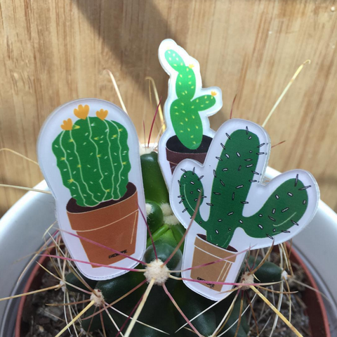 SAMPLE Cactus trio PIN SET