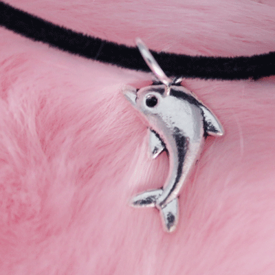Dolphin earrings & necklace