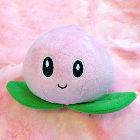 PEACH PLUSH