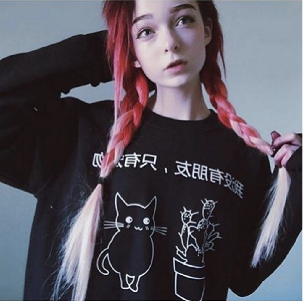 LAST CALL - SAMPLE SALE " I don't have any friends, just pet" jumper